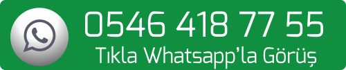 whatsapp-arama-butonu